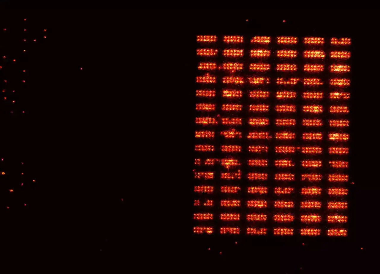 quantum-register-reaches-1200-neutral-atoms-in-continuous-operation