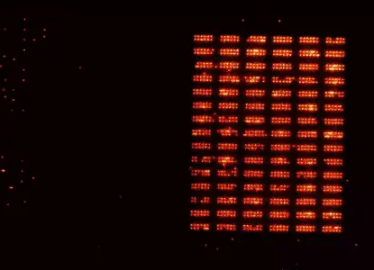 Quantum register based on neutral atoms moved from a loading zone (left) to the storage zone (right). By regularly replenishing the loading zone, the storage array can be built up and then operated continuously.