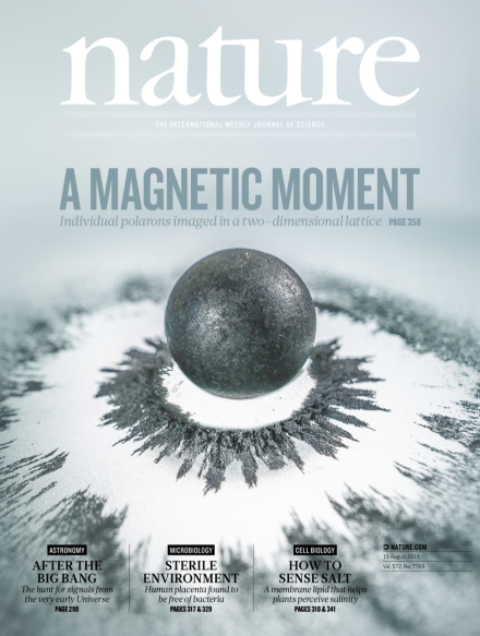 Nature (2019) - Imaging magnetic polarons in the doped Fermi–Hubbard model