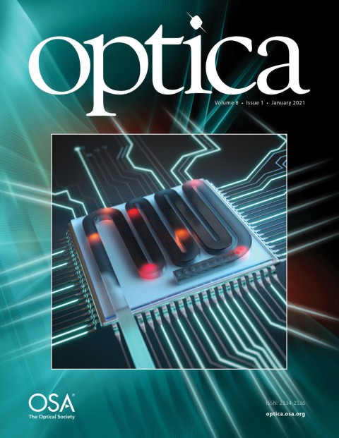 Optica (2021) - Erbium dopants in nanophotonic silicon waveguides 